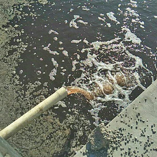 屠宰污水處理設(shè)備
